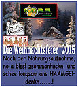 weihnacht2015_135.jpg